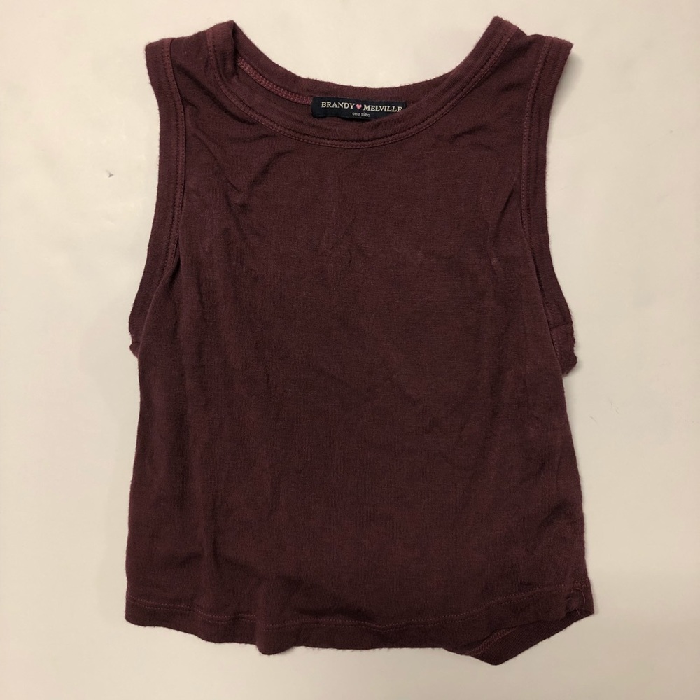 BRANDY MELVILLE CROPPED TOP